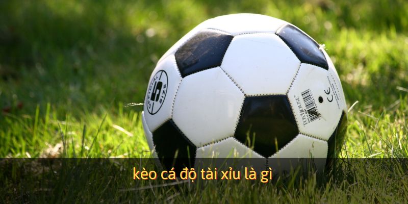 kèo cá độ tài xỉu là gì