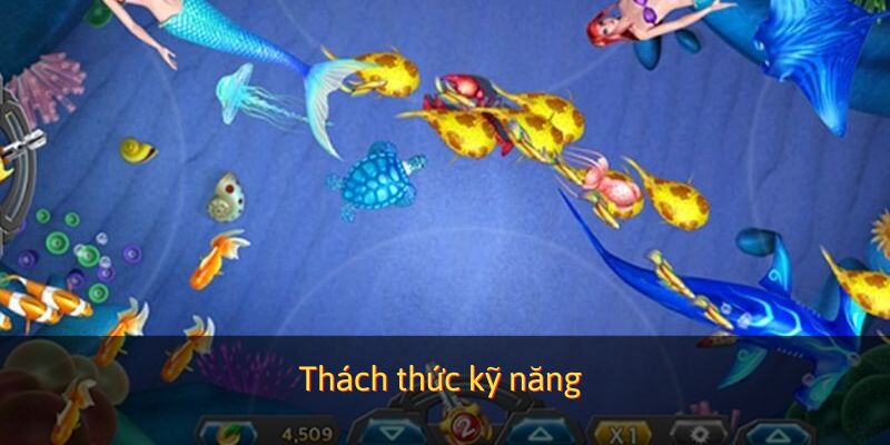 Nơi phô bày kỹ năng bắn cá