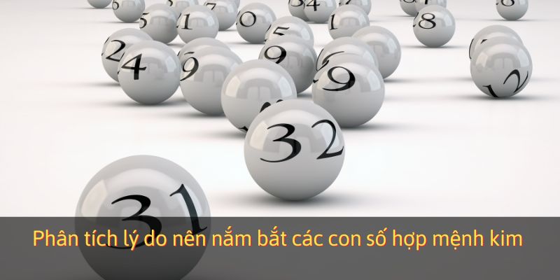 Phân tích lý do nên nắm bắt các con số hợp mệnh kim