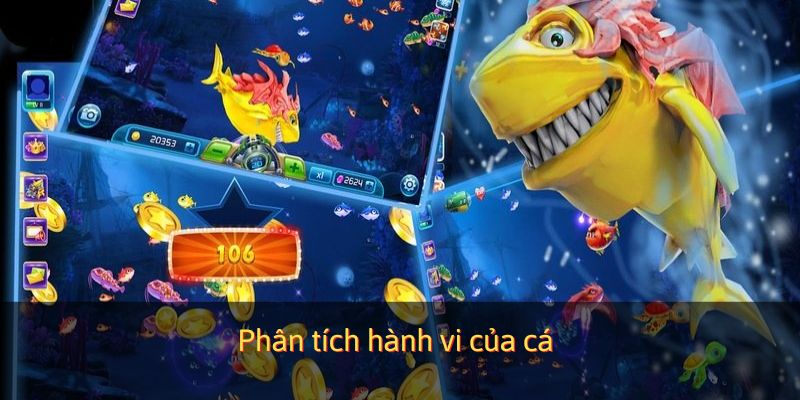 Phân tích xu hướng hoạt động của cá